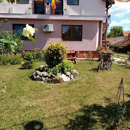 Pensiunea Oana Hotel Balc Exterior photo