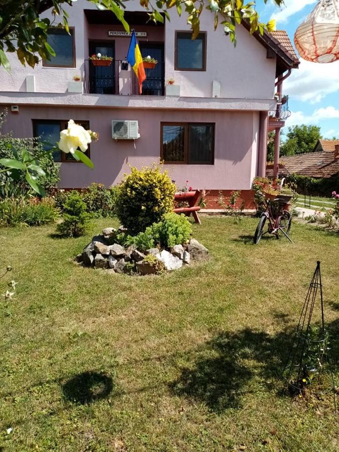 Pensiunea Oana Hotel Balc Exterior photo