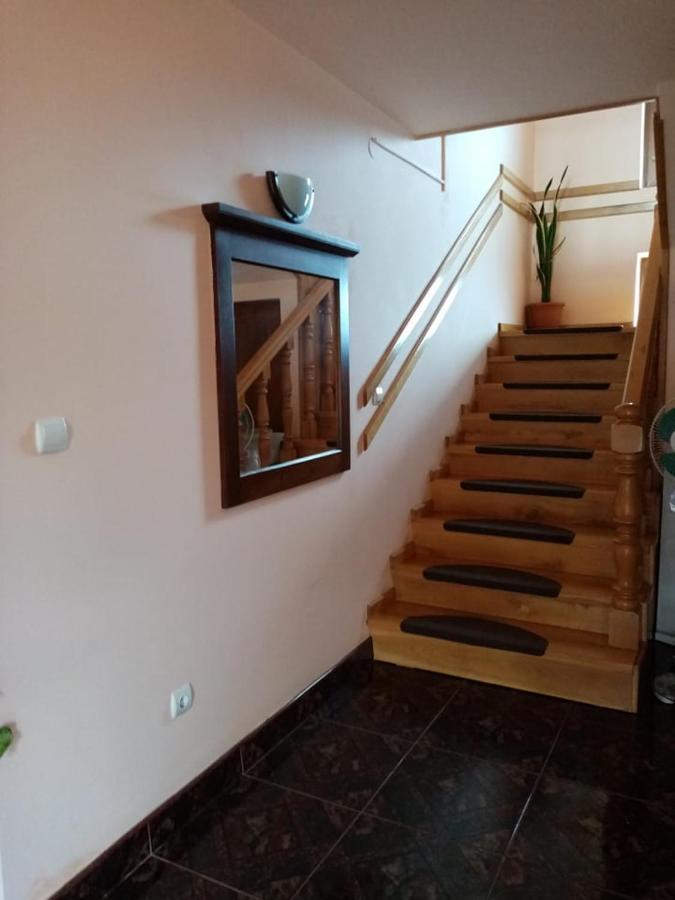Pensiunea Oana Hotel Balc Exterior photo